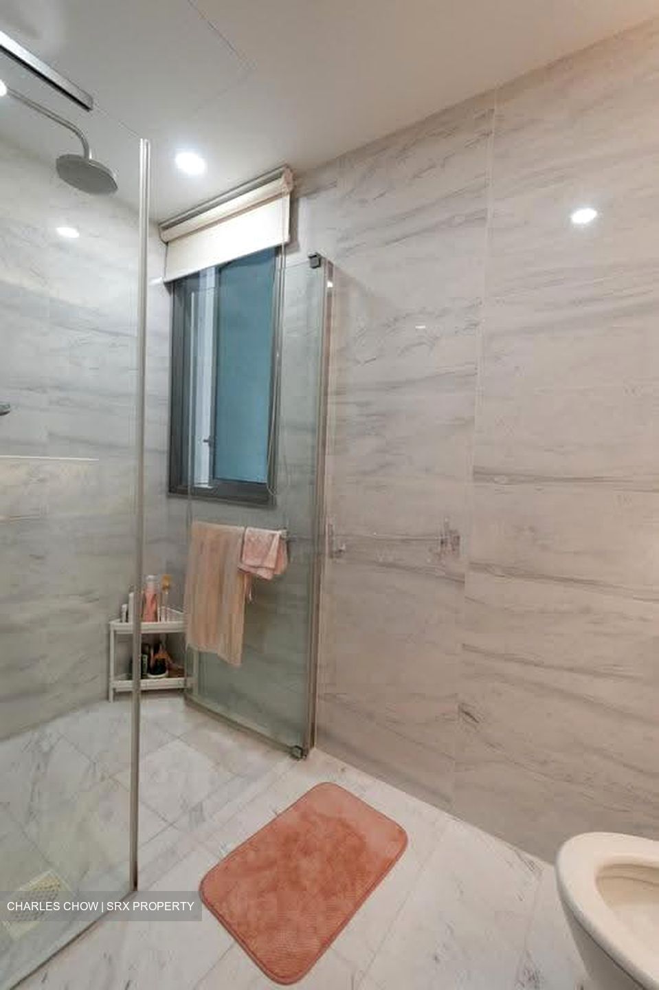 Queens Peak (D3), Condominium #618911921